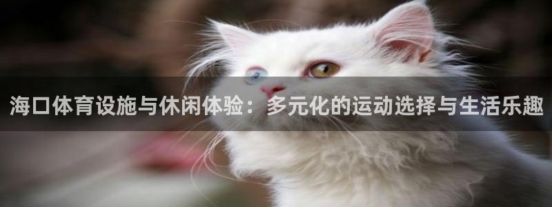 意昂4神州：海口体育设施与休闲体验：多元化的运动选择