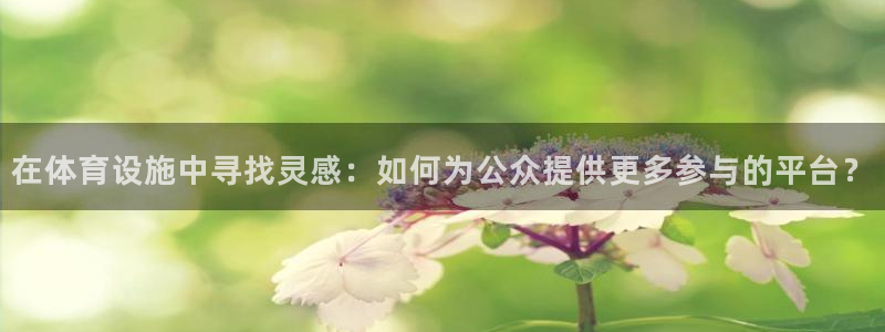 海南意昂体育4：在体育设施中寻找灵感：如何为公众提供