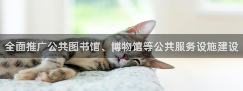 海南意昂体育4发展怎么样：全面推广公共图书馆、博物馆