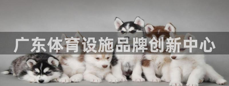 意昂4娱乐下载：广东体育设施品牌创新中心