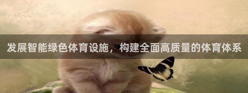 意昂4官方：发展智能绿色体育设施，构建全面高质量的体