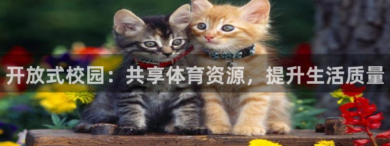 意昂体育4招商电话号码是多少号：开放式校园：共享体育