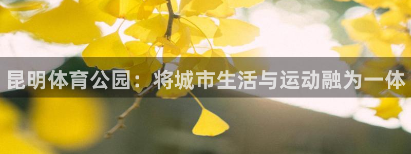 意昂4神州：昆明体育公园：将城市生活与运动融为一体