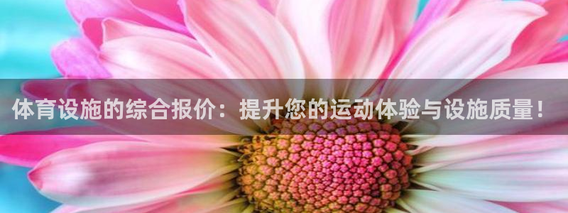 意昂体育4招商电话：体育设施的综合报价：提升您的运动