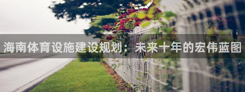 意昂4集团E.ON：海南体育设施建设规划：未来十年的