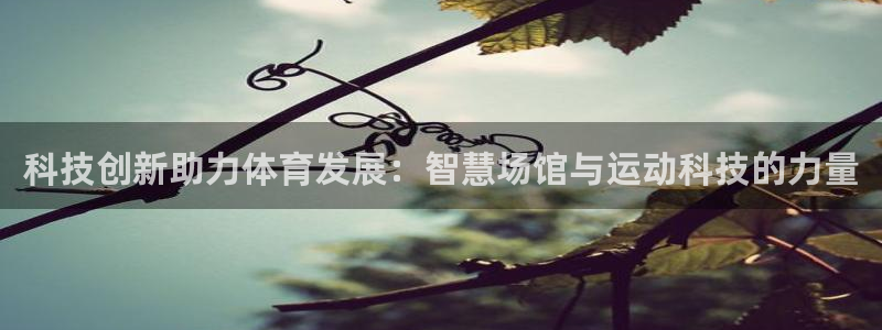 意昂体育4招商电话是多少号码：科技创新助力体育发展：
