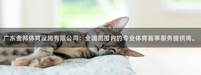 意昂4娱乐下载：广东金邦体育设施有限公司：全国范围内