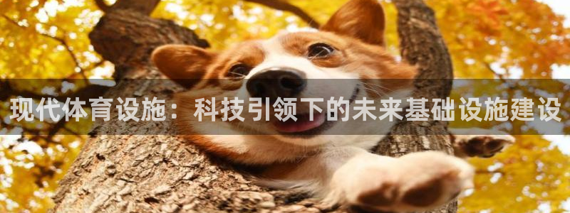 意昂4集团官网首页网址：现代体育设施：科技引领下的未