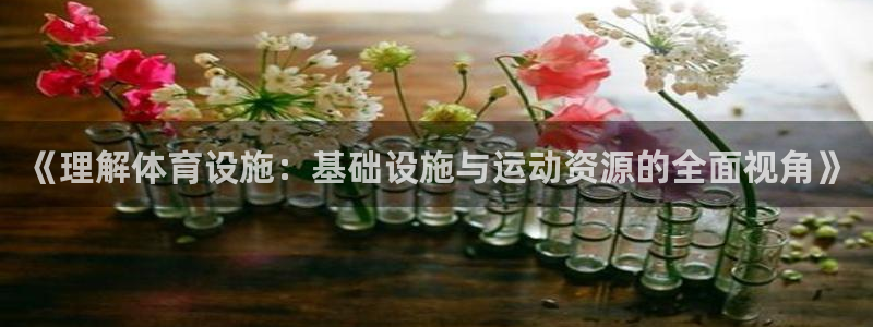 意昂体育4招商电话号码是多少号：《理解体育设施：基础