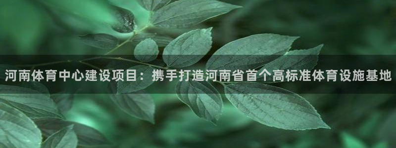 意昂体育4招商电话是多少啊：河南体育中心建设项目：携