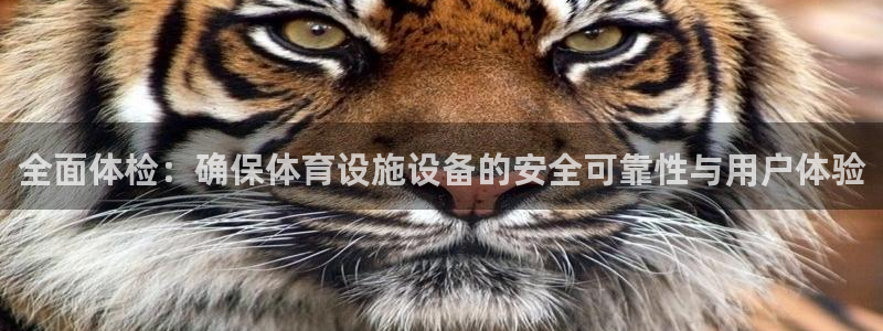 意昂体育4平台是正规平台吗知乎：全面体检：确保体育设