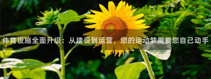 意昂体育4招商电话是多少号码：体育设施全面升级：从建