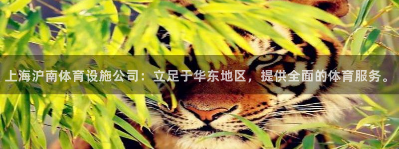 意昂体育4招商电话号码查询：上海沪南体育设施公司：立