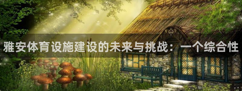 意昂4集团logo：雅安体育设施建设的未来与挑战：一个综合性