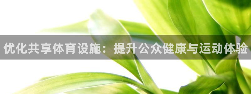 意昂4娱乐是那个系列的台子：优化共享体育设施：提升公