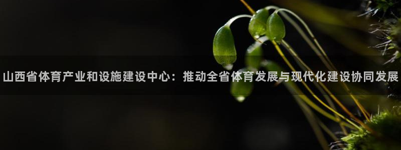 意昂4集团官网首页网址：山西省体育产业和设施建设中心：推动全