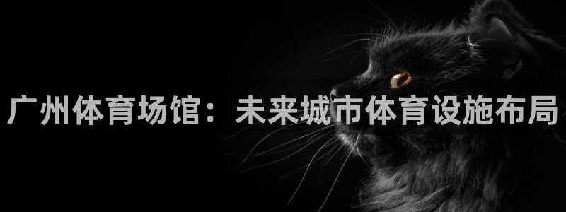 意昂体育4是干嘛的公司：广州体育场馆：未来城市体育设施布局 