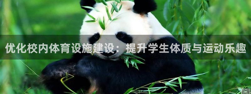 意昂4娱乐：优化校内体育设施建设：提升学生体质与运动