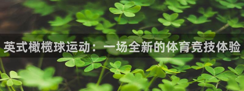 意昂4娱乐是那个系列的台子：英式橄榄球运动：一场全新