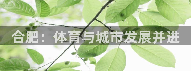 意昂体育4招商电话号码是多少：合肥：体育与城市发展并