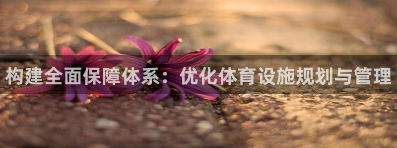 意昂体育4平台是正规平台吗：构建全面保障体系：优化体
