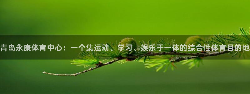 意昂4代理：青岛永康体育中心：一个集运动、学习、娱乐