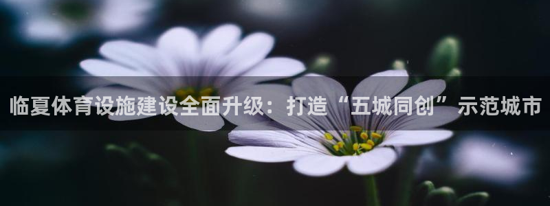 意昂4娱乐：临夏体育设施建设全面升级：打造“五城同创
