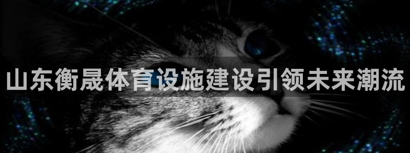 注册意昂4：山东衡晟体育设施建设引领未来潮流