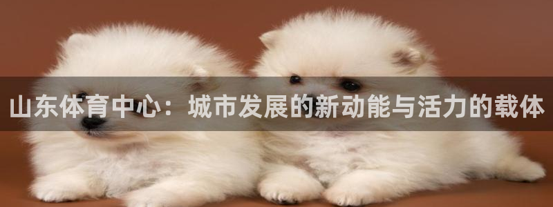 意昂体育4：山东体育中心：城市发展的新动能与活力的载