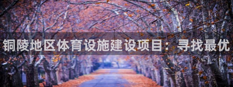 意昂体育4招商电话号码是多少号：铜陵地区体育设施建设
