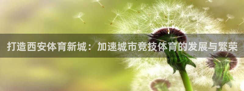 意昂4娱乐是那个系列的台子：打造西安体育新城：加速城