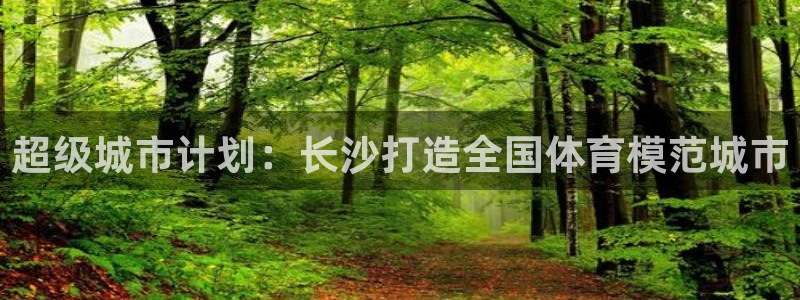 意昂4五金厂：超级城市计划：长沙打造全国体育模范城市