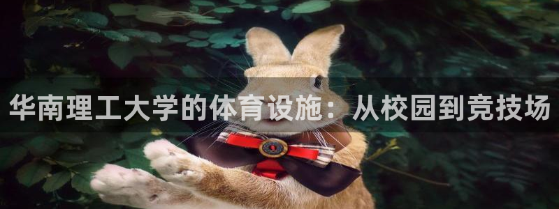 意昂4集团官网首页网址：华南理工大学的体育设施：从校