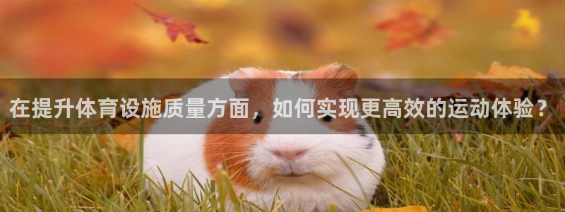 意昂体育4平台注册流程图：在提升体育设施质量方面，如