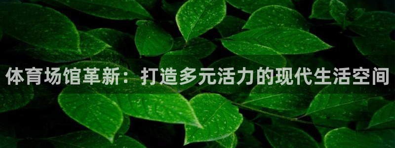 意昂4代理：体育场馆革新：打造多元活力的现代生活空间