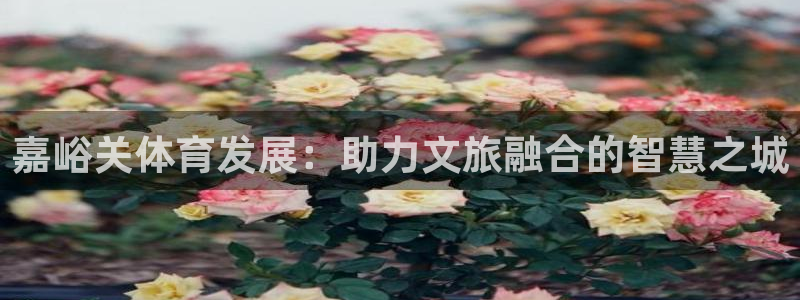 意昂体育4平台APP：嘉峪关体育发展：助力文旅融合的
