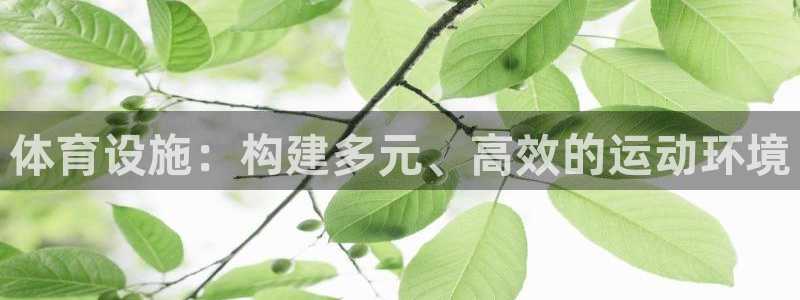 意昂4代理：体育设施：构建多元、高效的运动环境