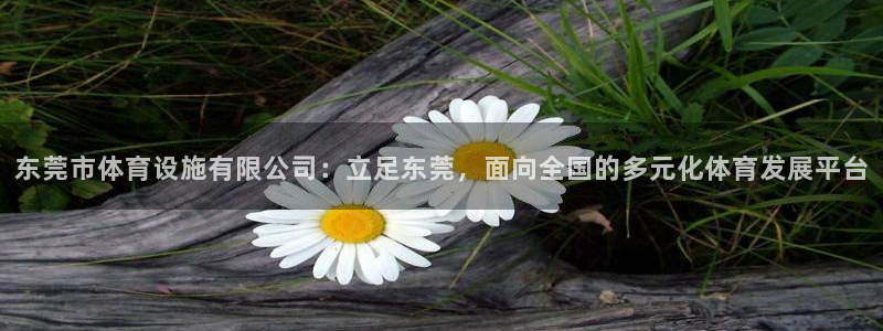 意昂4集团官网网址：东莞市体育设施有限公司：立足东莞
