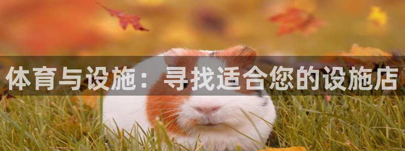 意昂4开户：体育与设施：寻找适合您的设施店