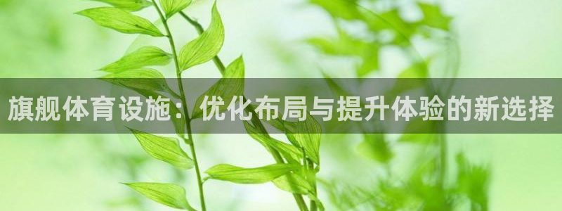 意昂体育4招商电话：旗舰体育设施：优化布局与提升体验的新选择