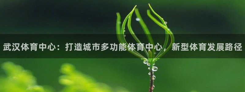 意昂体育4软件：武汉体育中心：打造城市多功能体育中心，新型体