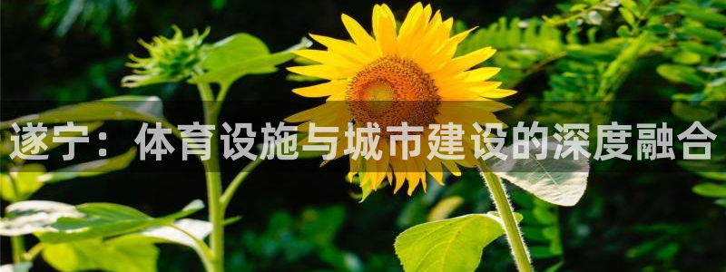 意昂体育4平台注册流程视频：遂宁：体育设施与城市建设的深度融