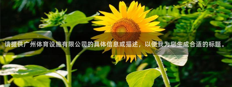 意昂集团官网：请提供广州体育设施有限公司的具体信息或描述，以