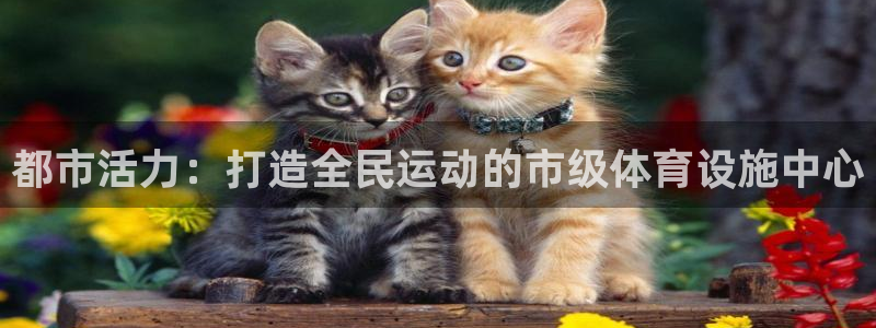 意昂4娱乐是那个系列的台子：都市活力：打造全民运动的市级体育 