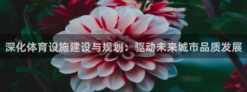意昂体育4平台假的吗是真的吗：深化体育设施建设与规划