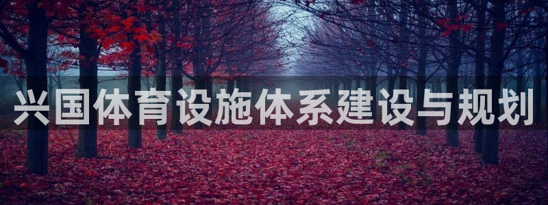 意昂4集团官网网址：兴国体育设施体系建设与规划