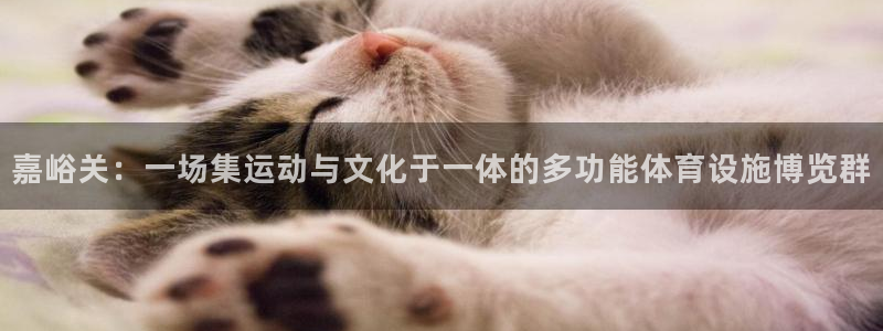 意昂体育4平台注册：嘉峪关：一场集运动与文化于一体的