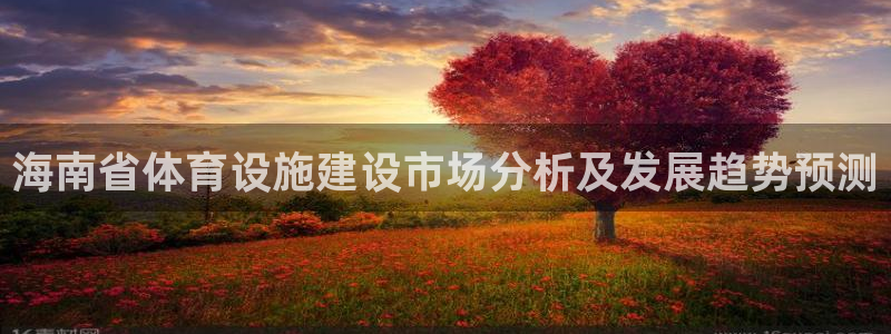 意昂4科技：海南省体育设施建设市场分析及发展趋势预测