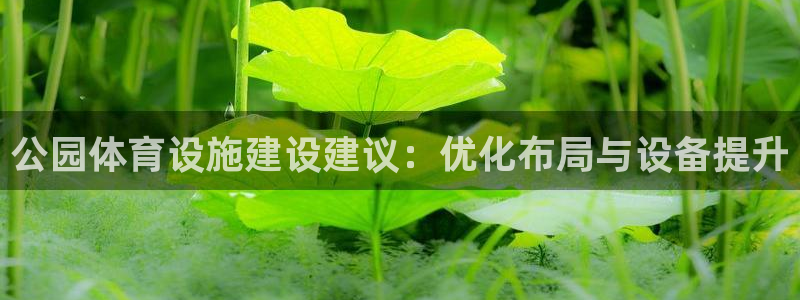 意昂4娱乐代理怎么样：公园体育设施建设建议：优化布局与设备提