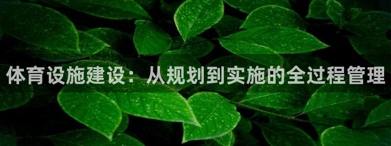 意昂体育4招商电话是多少号码：体育设施建设：从规划到
